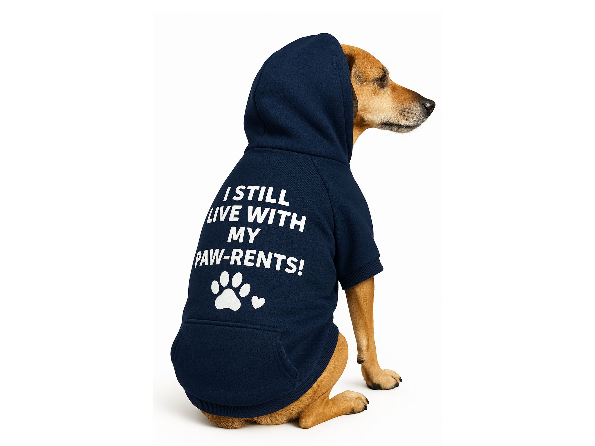 Felpa per Cani “I Still Live With My Paw-rents!” Blu – Morbida e Calda