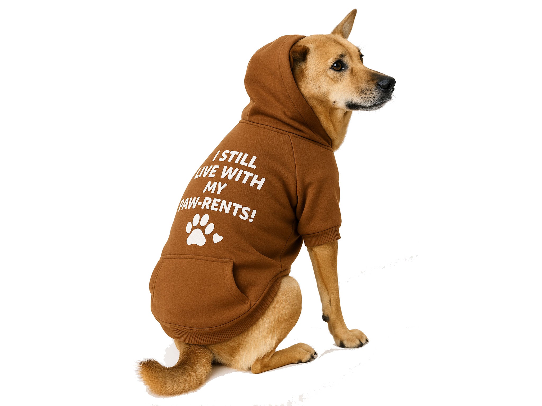 Felpa per Cani “I Still Live With My Paw-rents!” Marrone – Morbida e Calda