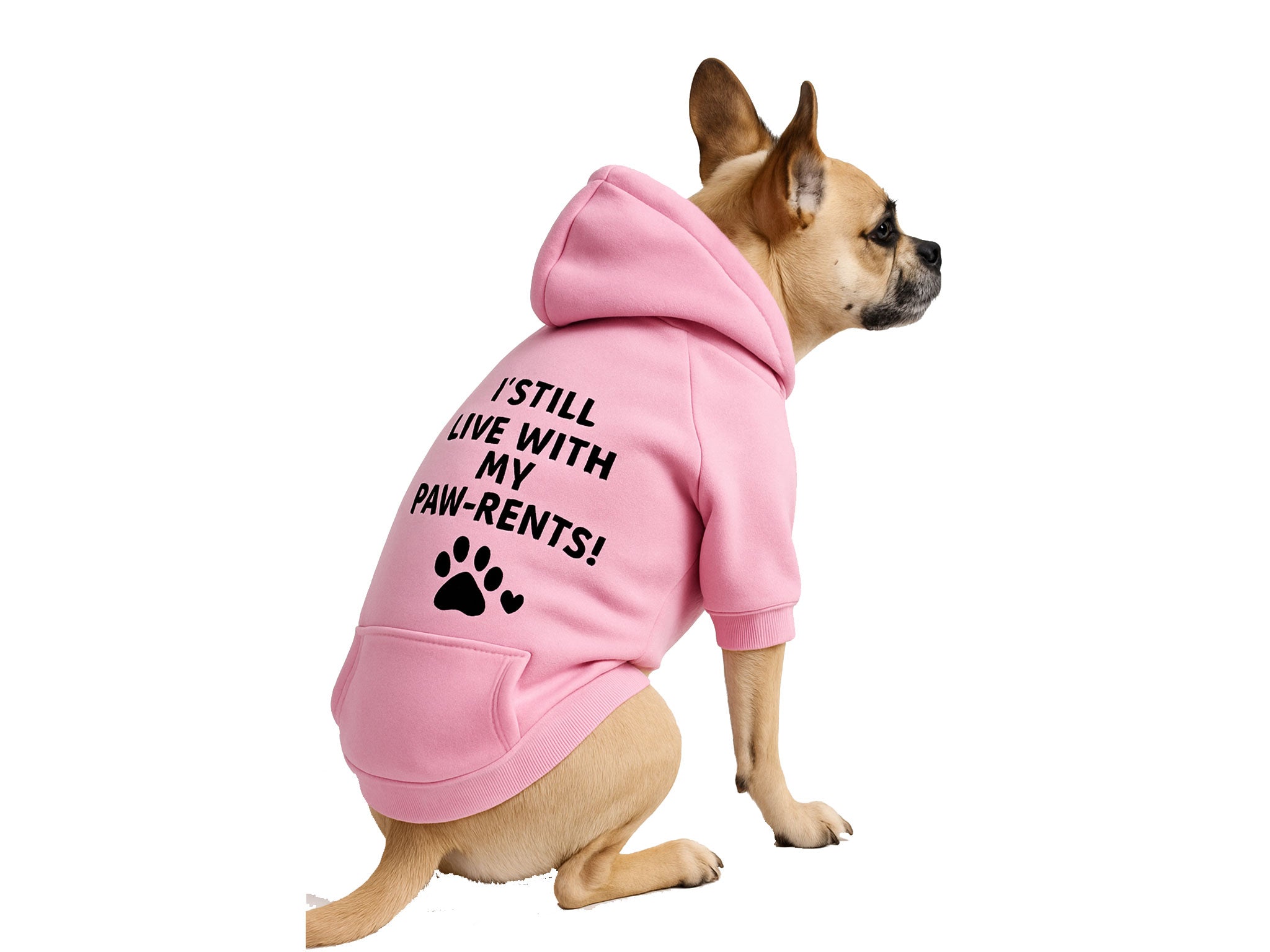 Felpa per Cani “I Still Live With My Paw-rents!” Rosa – Morbida e Calda