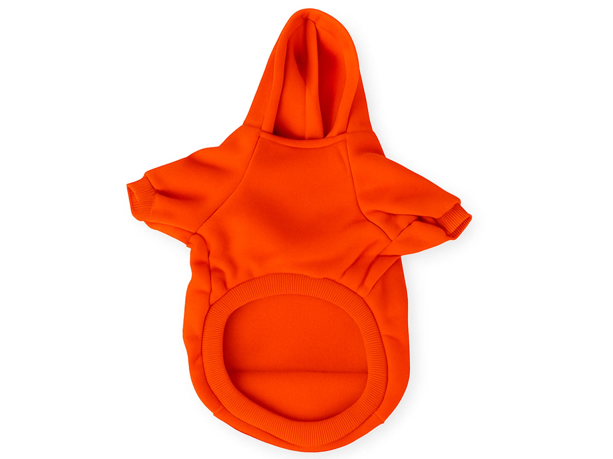 Felpa per Cani “I Still Live With My Paw-rents!” Arancione – Morbida e Calda