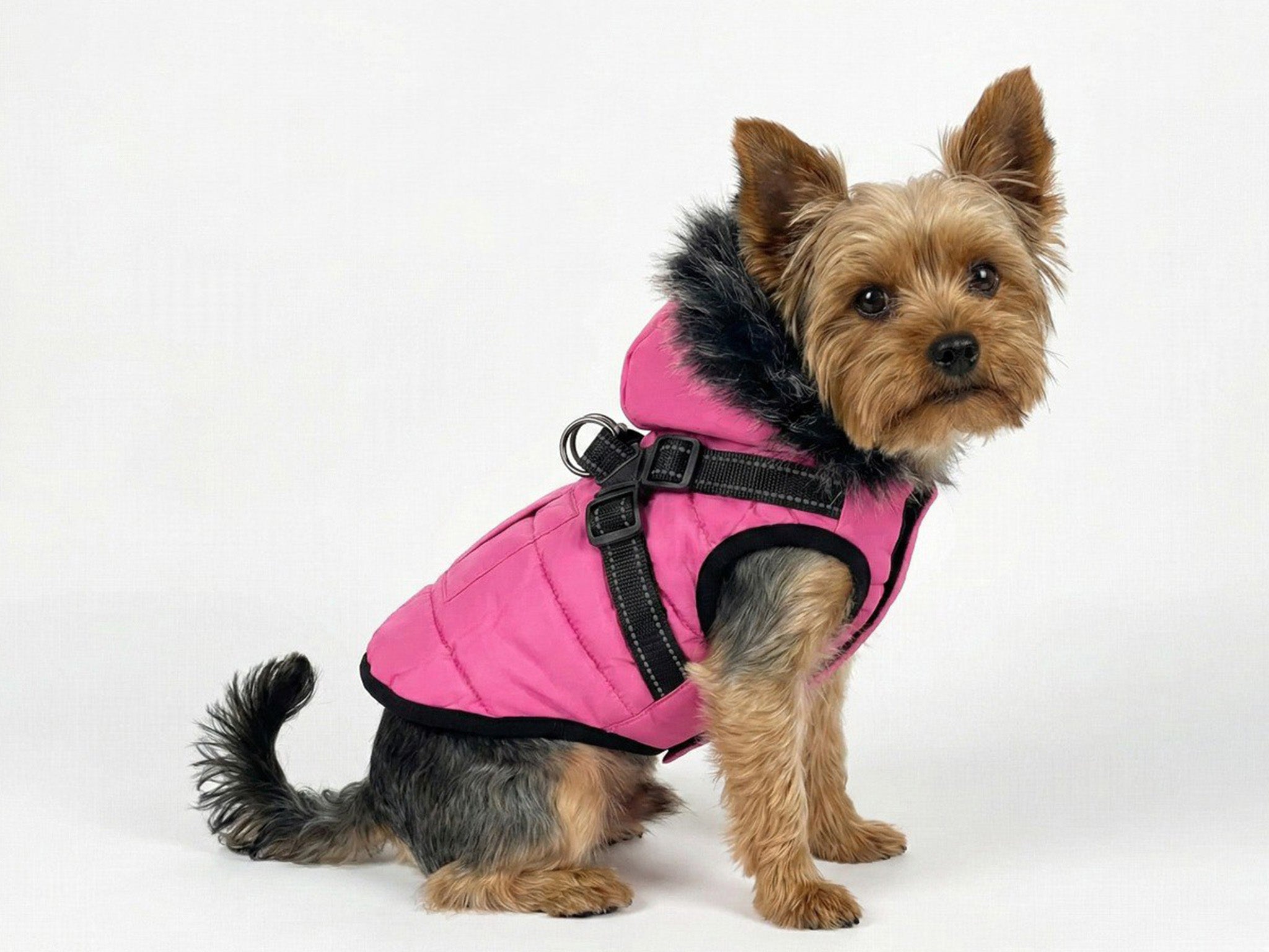 Cappotto Invernale Rosa per Cani con Cappuccio in Pelliccia e Imbracatura Integrata