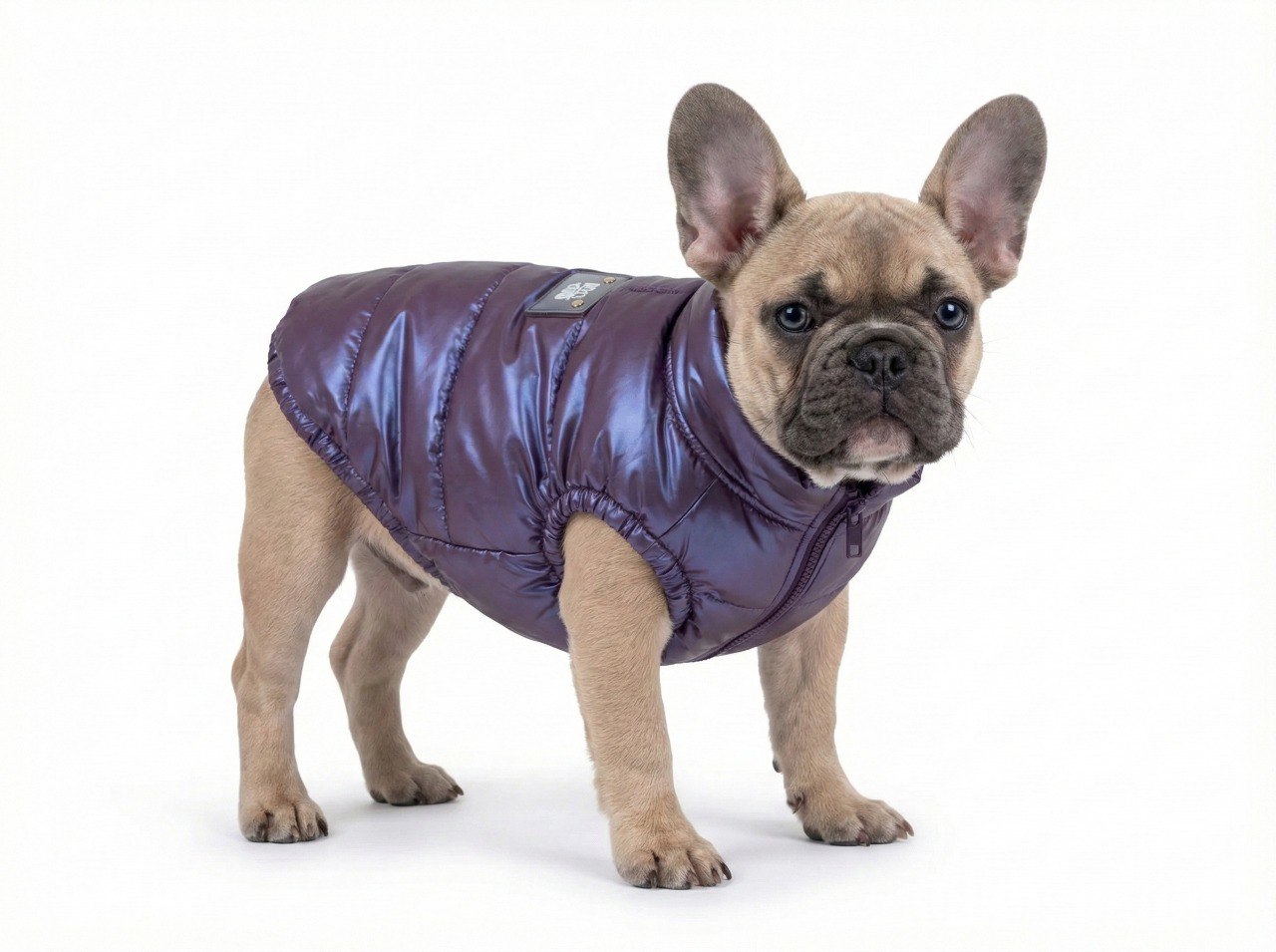 Cappottino impermeabile per cani violetto Moonwalk