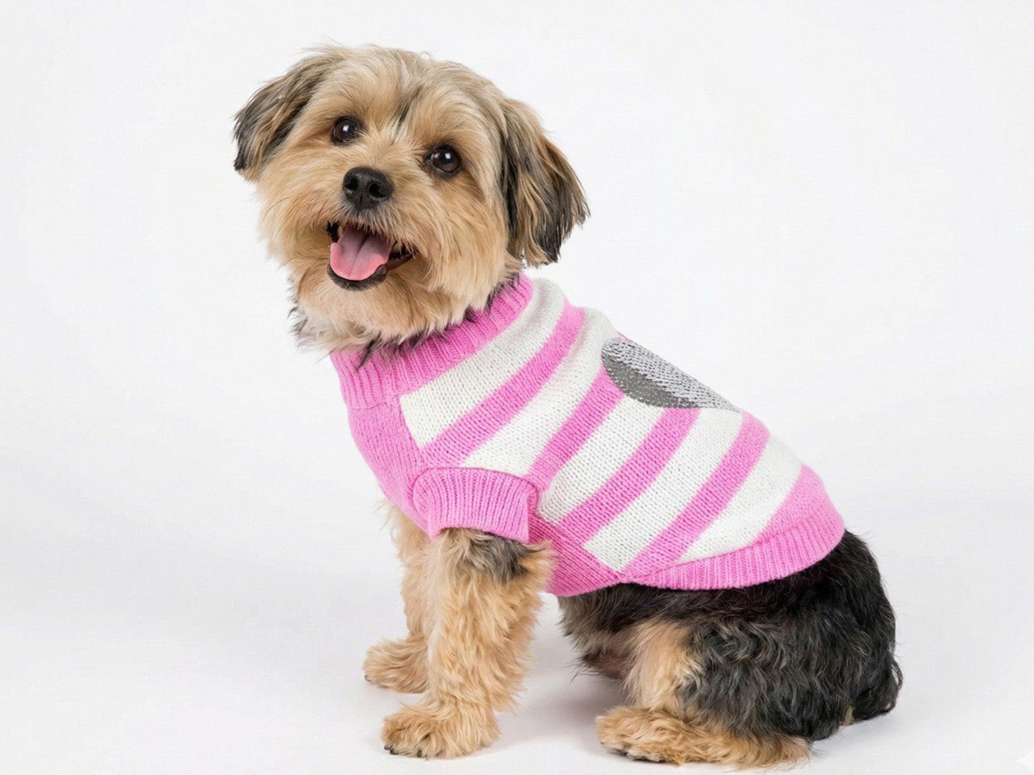 Maglioncino per cani Pullove Rosa e Bianco