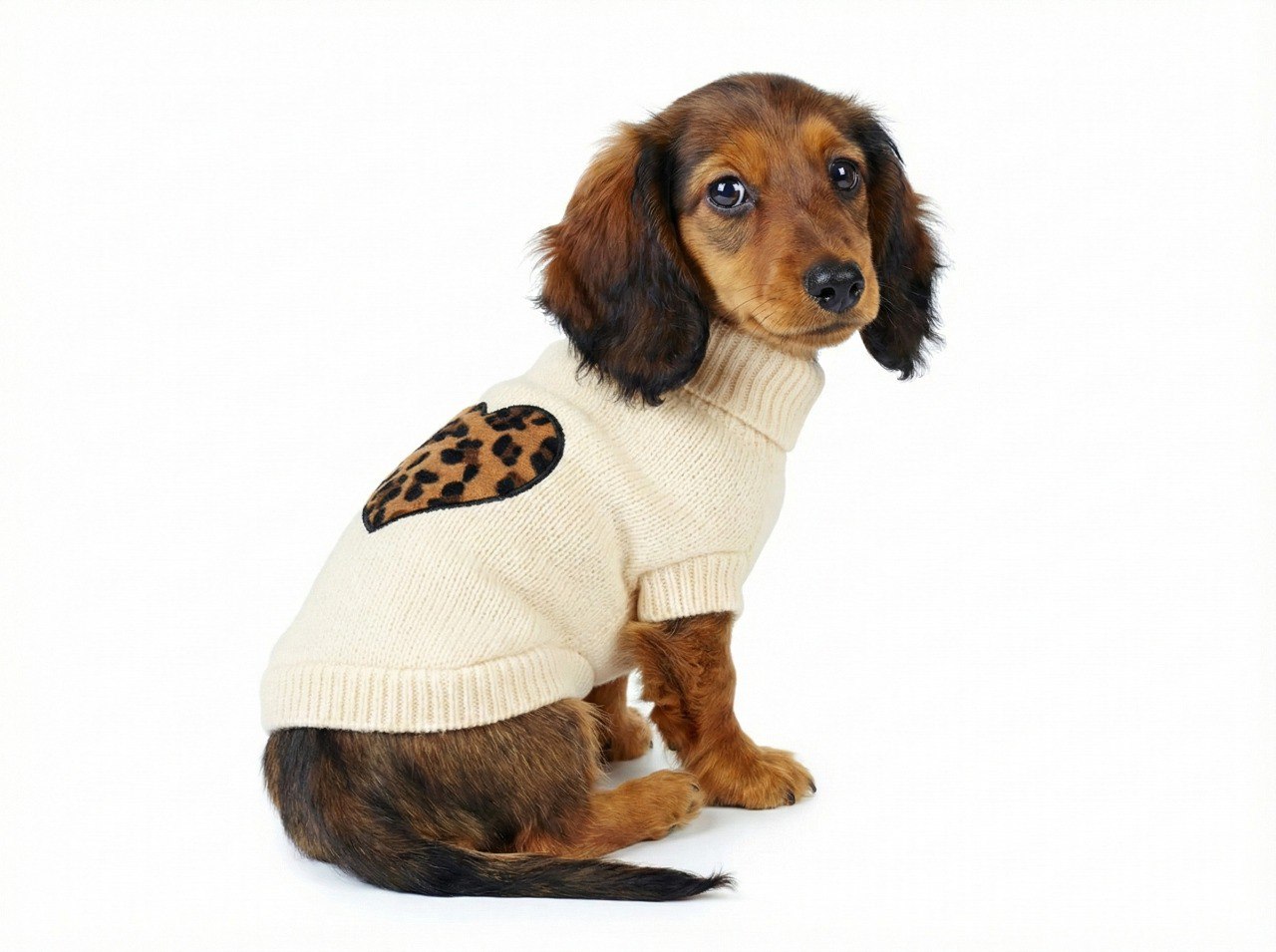Maglioncino per cani Posh Beige con Cuore Leopardato