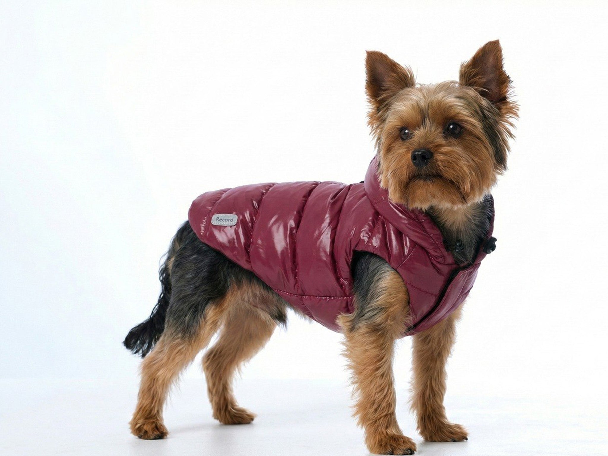 Cappottino impermeabile per cani Subzero Bordò