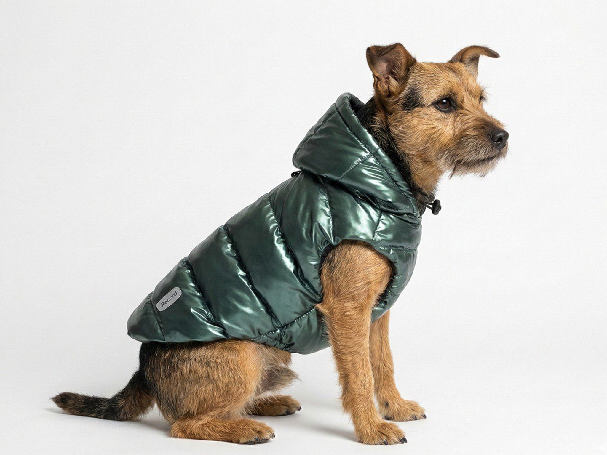 Cappottino impermeabile per cani Subzero