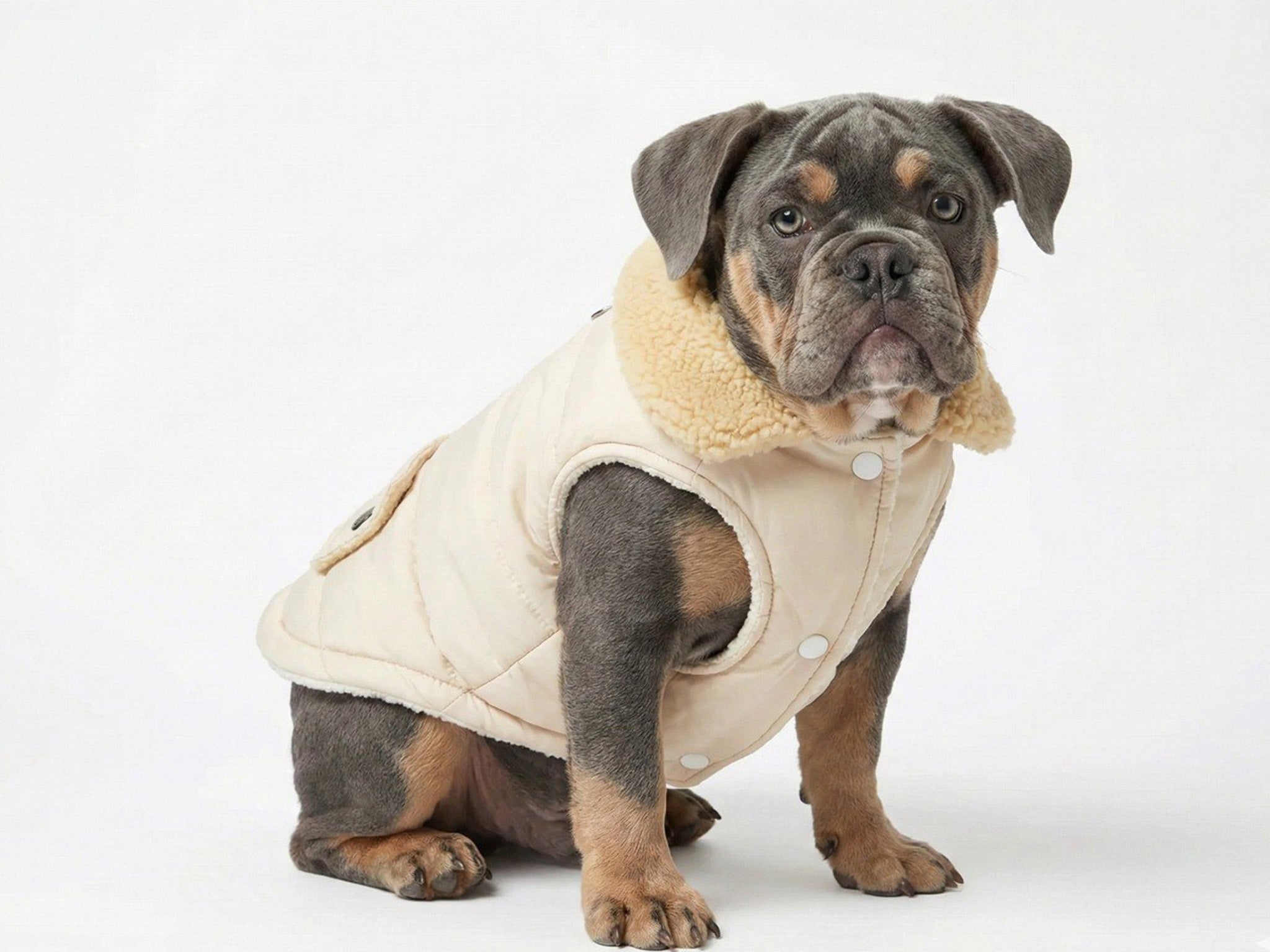 Cappotto per Cani Invernale Beige con Fodera in Sherpa – Caldo, Impermeabile e Regolabile