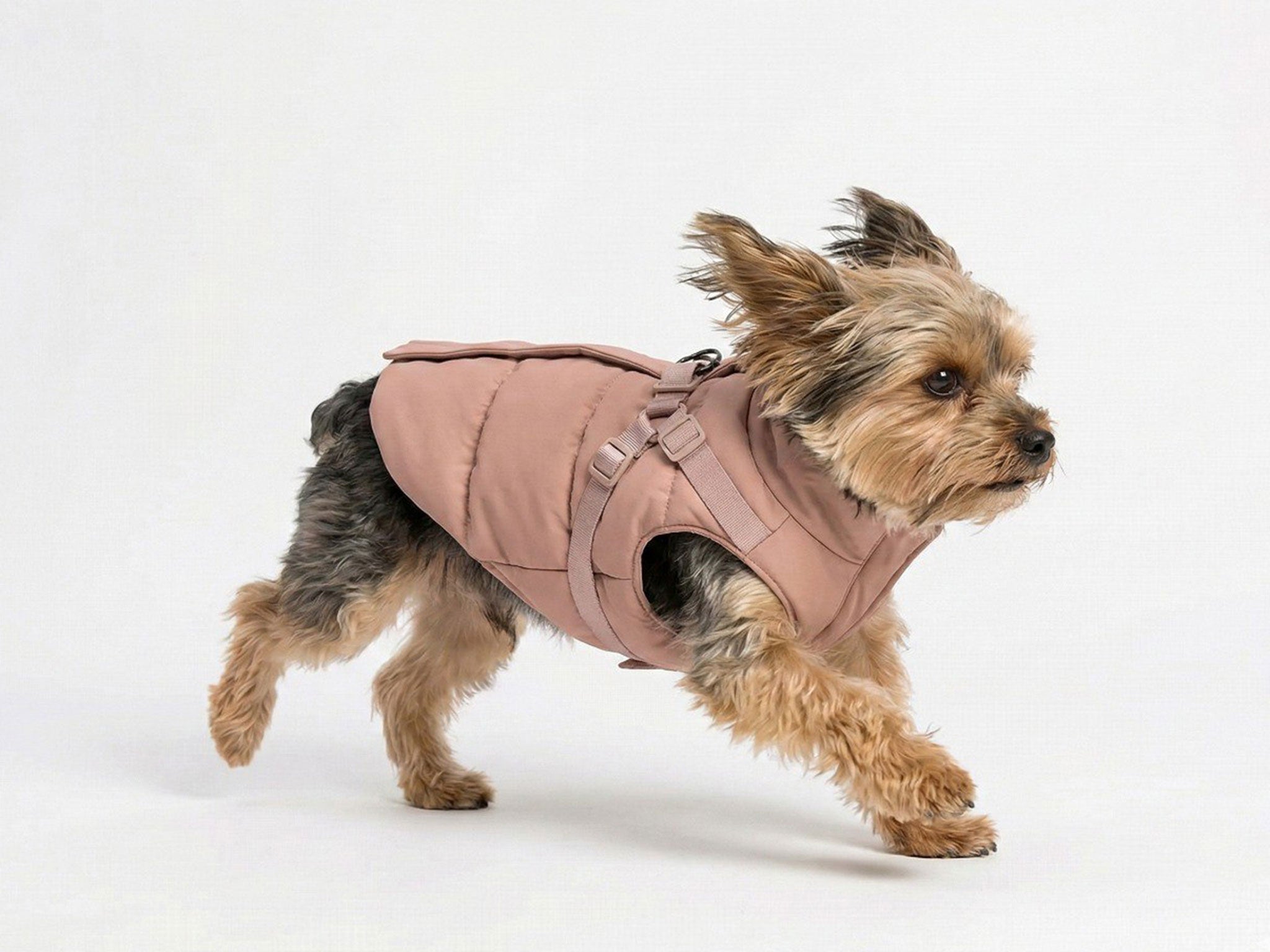 Cappotto Invernale per Cani Rosa con Imbracatura Integrata – Imbottito e Impermeabile