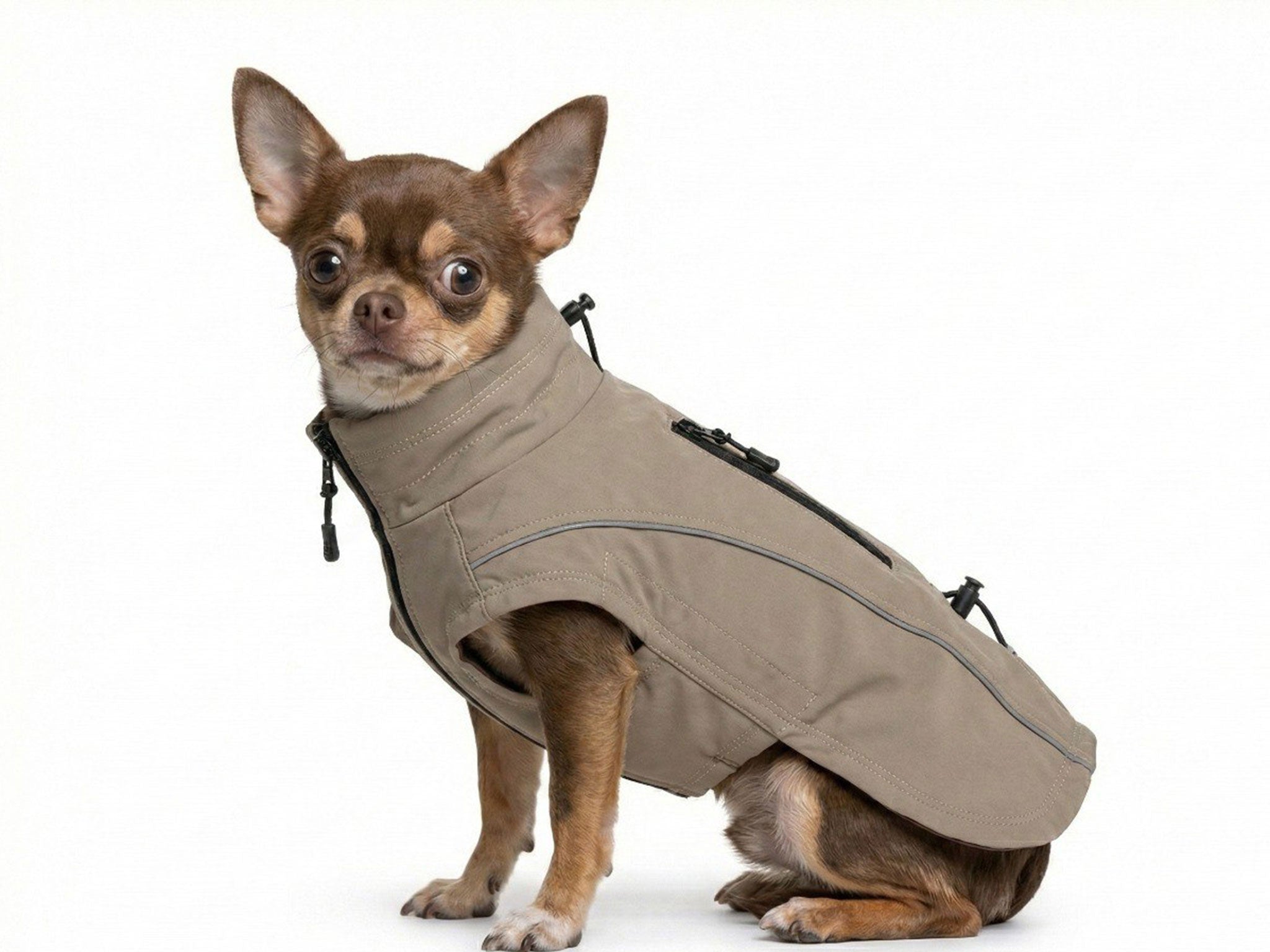 Impermeabile Tecnico per Cani Beige – Antipioggia, Antivento e Riflettente