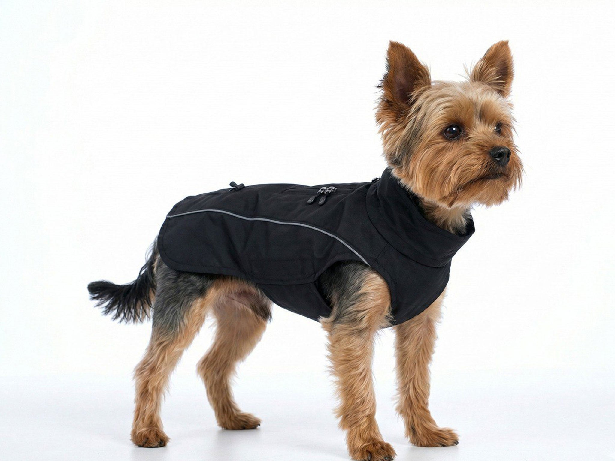 Impermeabile Tecnico per Cani Nero – Antipioggia, Antivento e Riflettente