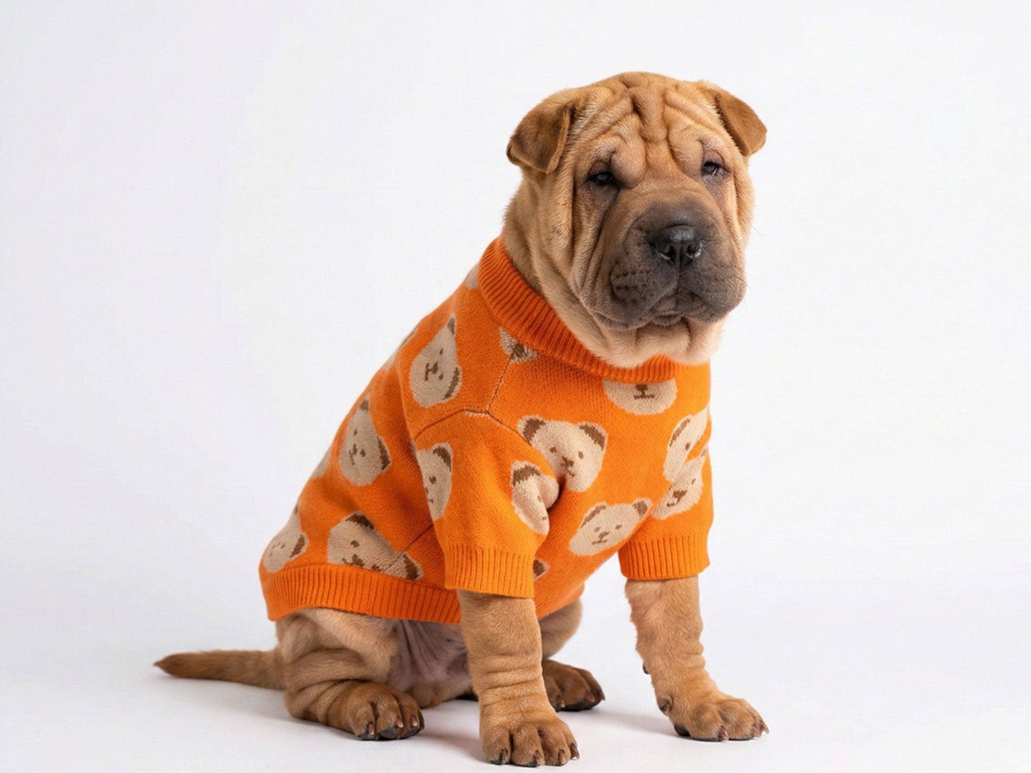 Maglioncino per Cani Arancione con Orsetti – Morbido ed Elegante