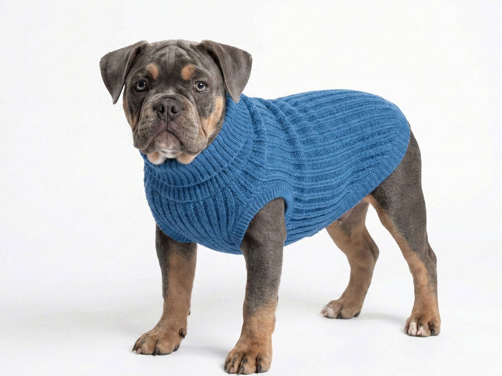 Maglioncino per Cani in Lanetta Blu – Morbido e Caldo a Treccia