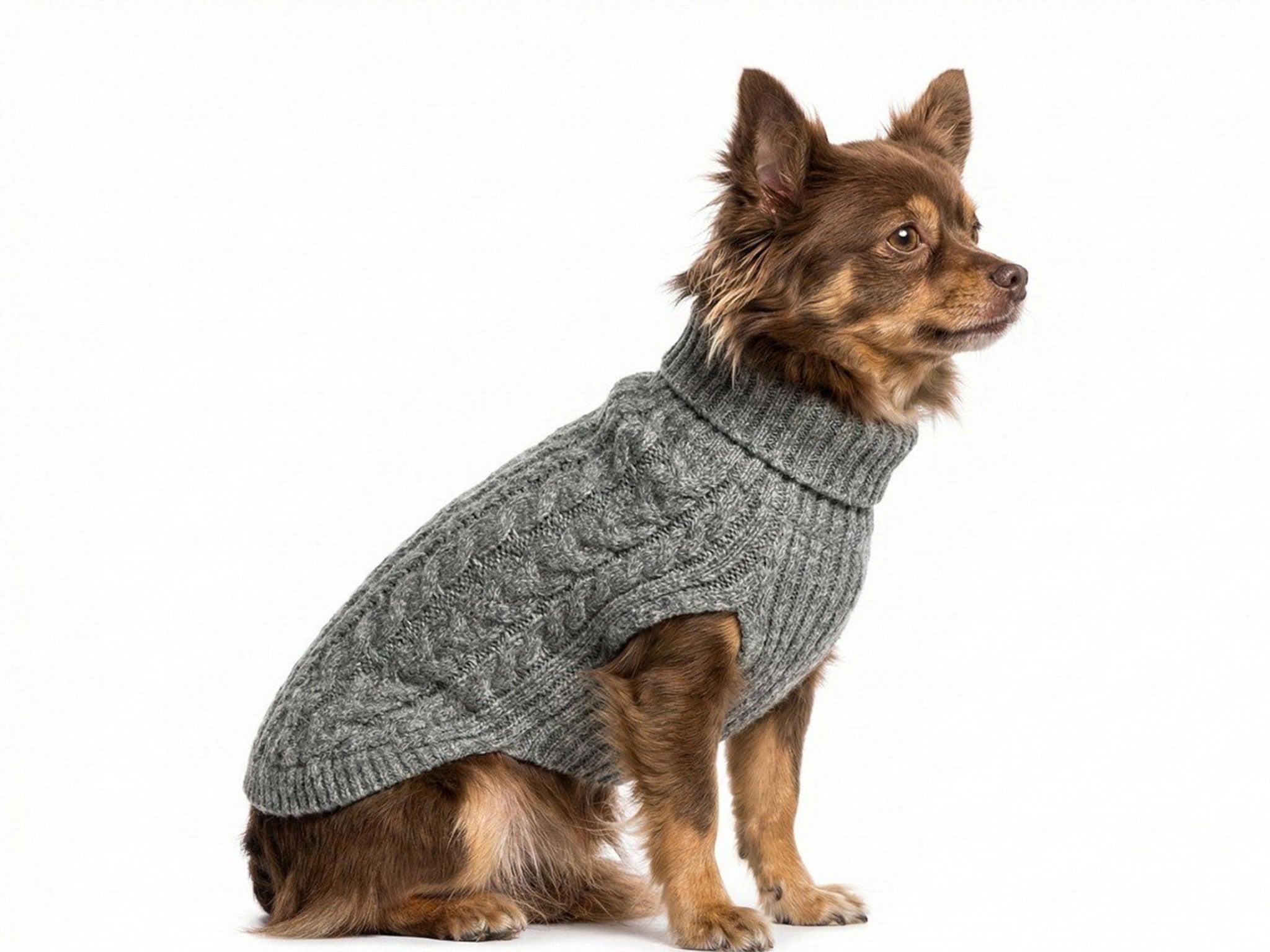 Maglioncino per Cani in Lanetta Grigia – Morbido e Caldo a Treccia